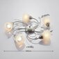 Lindby Yannie LED lubinis šviestuvas, penkių lempučių kaina ir informacija | Lubiniai šviestuvai | pigu.lt