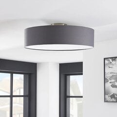 Потолочный светильник Sebatin со светодиодом E27, 50 см, серый цена и информация | Потолочные светильники | pigu.lt