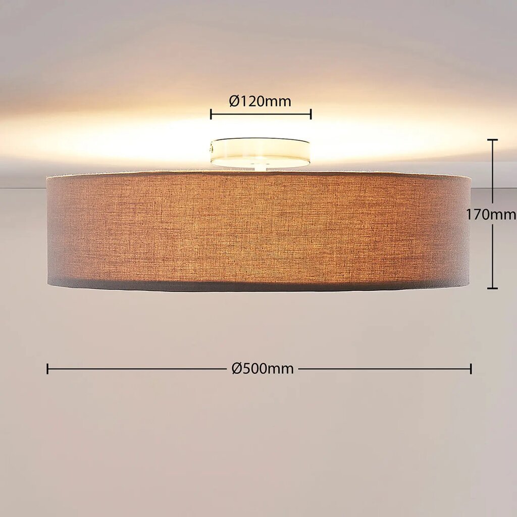 Lubinis šviestuvas Sebatin su E27 LED, 50 cm, pilkas kaina ir informacija | Lubiniai šviestuvai | pigu.lt