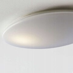 Светодиодный потолочный светильник Indika, цвет CCT, меняющий цвет, круглый цена и информация | Потолочные светильники | pigu.lt