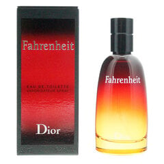 Tualetinis vanduo Dior Fahrenheit EDT vyrams 50 ml kaina ir informacija | Kvepalai vyrams | pigu.lt