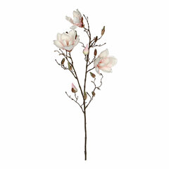 корсажи Mica Decorations Magnolia (88 cm) цена и информация | Искусственные цветы | pigu.lt