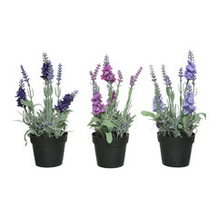 Декоративное растение 25 cm PVC Лаванда цена и информация | Искусственные цветы | pigu.lt