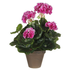 Декоративное растение Mica Decorations PVC Герань (11,5 x 33 cm) цена и информация | Искусственные цветы | pigu.lt