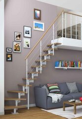 Модульная лестница Boston Dolle 228-300 см цена и информация | Лестницы | pigu.lt