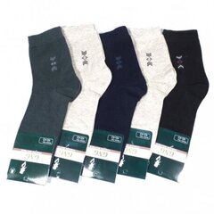 Мужские носки 7995-1, 5 пар цена и информация | Мужские носки | pigu.lt