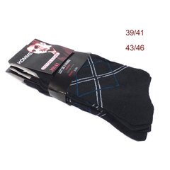Vyriškos klasikinės kojinės SW-BF2016-26, 3 poros kaina ir informacija | Vyriškos kojinės | pigu.lt
