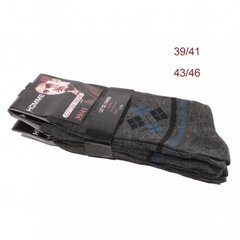 Vyriškos klasikinės kojinės SW-BF2016-26-DK/GREY, 3 poros kaina ir informacija | Vyriškos kojinės | pigu.lt