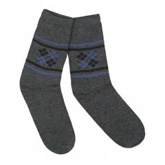 Vyriškos klasikinės kojinės SW-BF2016-26-DK/GREY, 3 poros kaina ir informacija | Vyriškos kojinės | pigu.lt
