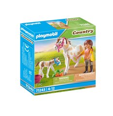 71243 PLAYMOBIL® Country, arklys su kumeliuku kaina ir informacija | Konstruktoriai ir kaladėlės | pigu.lt