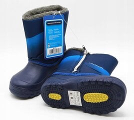 Žieminiai batai berniukams Thomas & Friends kaina ir informacija | Žieminiai batai vaikams | pigu.lt