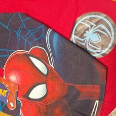 Pižamos vaikams Spiderman kaina ir informacija | Pižamos, chalatai berniukams | pigu.lt