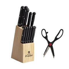 Набор из 11 кухонных ножей, кухонных ножниц и деревянной подставки цена и информация | Ножи и аксессуары для них | pigu.lt