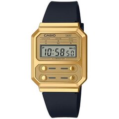 Casio A100WEFG-9AEF A100WEFG-9AEF цена и информация | Женские часы | pigu.lt