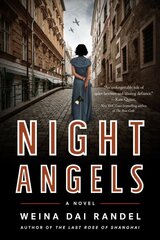 Night Angels: A Novel цена и информация | Фантастика, фэнтези | pigu.lt