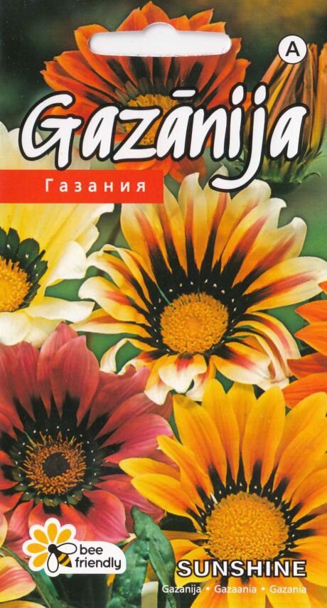 Gazanija Sunshine kaina | pigu.lt