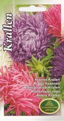 Семена Астры Krallen mix цена и информация | Семена цветов | pigu.lt