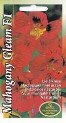 Настурция Mahogany Gleam F1 цена и информация | Семена цветов | pigu.lt