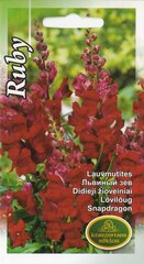 Львиный зев Ruby цена и информация | Семена цветов | pigu.lt