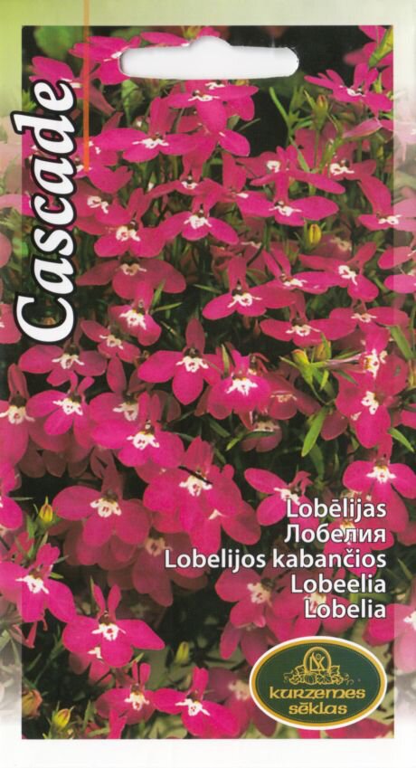Lobelijos Paprastosios Red Cascade kaina ir informacija | Gėlių sėklos | pigu.lt