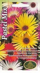 Доротеантус маргариткоцветковый Пастель Микс цена и информация | Семена цветов | pigu.lt