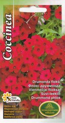 Флокс Друмонда Coccinea цена и информация | Семена цветов | pigu.lt