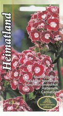 Gvazdikai Heimatland kaina ir informacija | Gėlių sėklos | pigu.lt