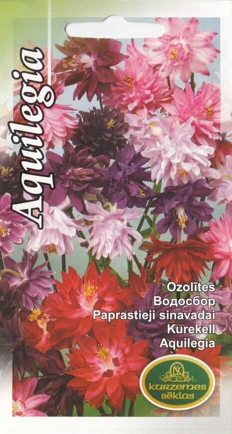 Paprastieji Sinavadai kaina ir informacija | Gėlių sėklos | pigu.lt