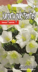 Семена Карпатские колокольчики Pristar F1 цена и информация | Семена цветов | pigu.lt