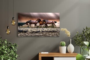 Paveikslas Žirgai ir Jūra, 100x60 cm kaina ir informacija | Reprodukcijos, paveikslai | pigu.lt