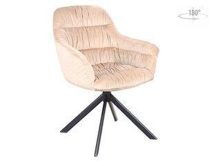 2-ių kėdžių komplektas Signal Meble Astoria, smėlio spalvos kaina ir informacija | Virtuvės ir valgomojo kėdės | pigu.lt