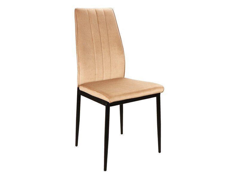 4-ių kėdžių komplektas Signal Meble Atom, smėlio spalvos kaina ir informacija | Virtuvės ir valgomojo kėdės | pigu.lt