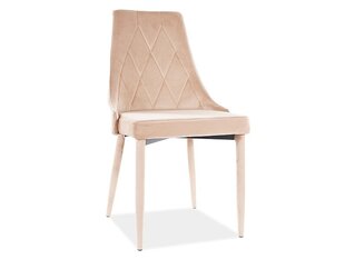 4-ių kėdžių komplektas Signal Meble Trix, smėlio spalvos kaina ir informacija | Virtuvės ir valgomojo kėdės | pigu.lt