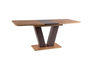 Стол Signal Meble Platon, коричневый цена и информация | Кухонные и обеденные столы | pigu.lt