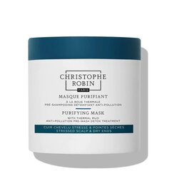 Kaukė Christophe Robin Purifying Mud, 250 ml kaina ir informacija | Priemonės plaukų stiprinimui | pigu.lt