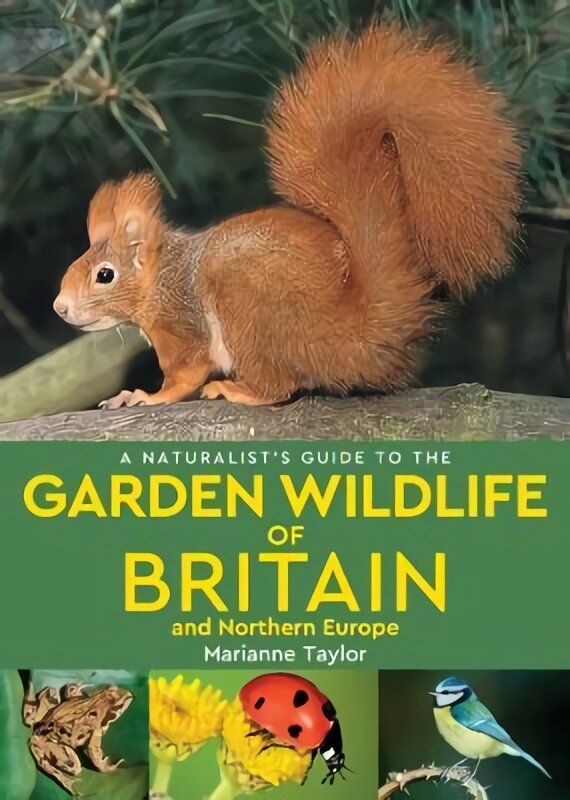Naturalist's Guide to the Garden Wildlife of Britain and Northern Europe kaina ir informacija | Knygos apie sveiką gyvenseną ir mitybą | pigu.lt