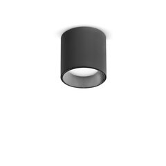 Потолочный светильник DOT PL 3000K NERO цена и информация | Потолочные светильники | pigu.lt