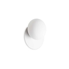 Ideal Lux sieninis šviestuvas Ninfea AP1 Bianco kaina ir informacija | Sieniniai šviestuvai | pigu.lt