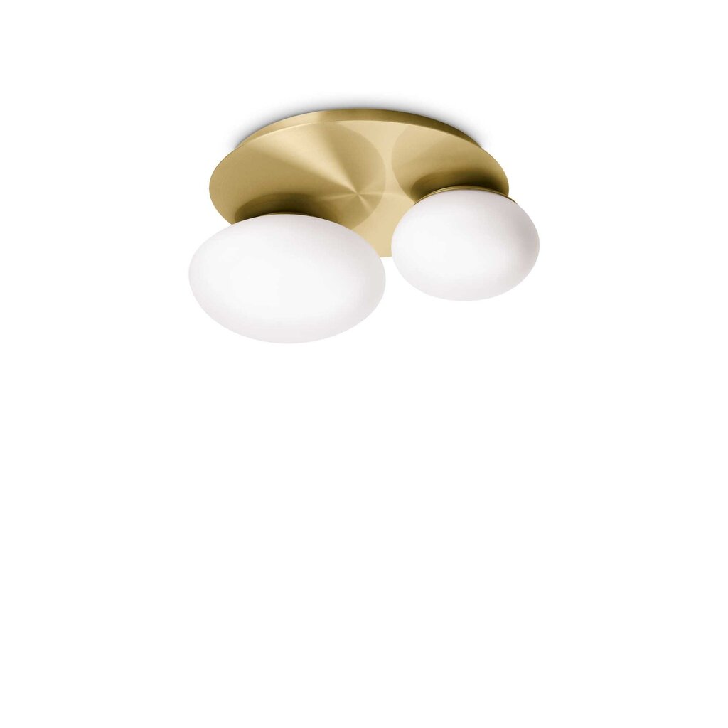 Ideal Lux lubinis šviestuvas Ninfea kaina ir informacija | Lubiniai šviestuvai | pigu.lt