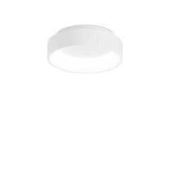 Потолочный светильник ZIGGY PL D45 BIANCO цена и информация | Потолочные светильники | pigu.lt