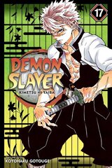 Demon Slayer: Kimetsu no Yaiba, Vol. 17 цена и информация | Фантастика, фэнтези | pigu.lt