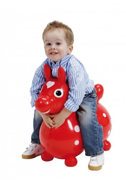 Pripučiamas arkliukas Gymnic Rody, raudonas kaina ir informacija | Žaislai kūdikiams | pigu.lt