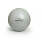 SISSEL® Securemax® mankštos kamuolys, 75 cm, pilkas kaina ir informacija | Gimnastikos kamuoliai | pigu.lt