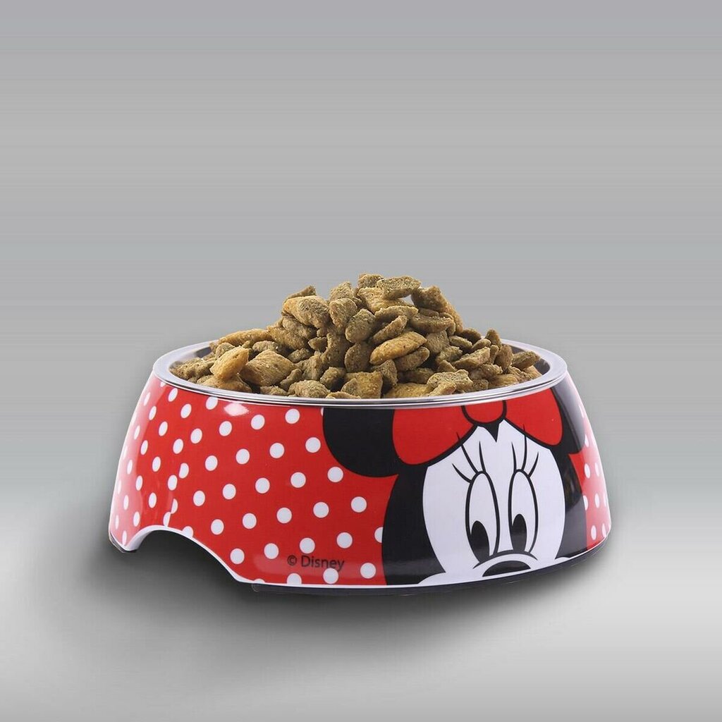 Maisto dubuo gyvūnams Minnie Mouse, 760 ml цена и информация | Dubenėliai, dėžės maistui | pigu.lt