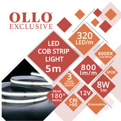 LED-лента Visional Ollo, холодный белый, 12 В, 5 м цена и информация | Светодиодные ленты | pigu.lt