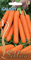 Морковь GALAXY (Галактика). Семена моркови 5 г цена и информация | Семена овощей, ягод | pigu.lt