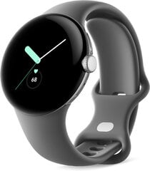 Google Pixel Watch Polished Silver/Charcoal цена и информация | Смарт-часы (smartwatch) | pigu.lt