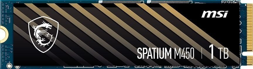 MSI Spatium M450 kaina ir informacija | Vidiniai kietieji diskai (HDD, SSD, Hybrid) | pigu.lt