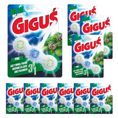 Освежитель для унитаза Giguš Power 3 в 1, запах сосны, 10 шт. цена и информация | Очистители | pigu.lt