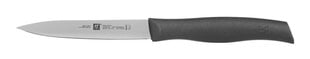 Zwilling peilis, 1 vnt. цена и информация | Ножи и аксессуары для них | pigu.lt